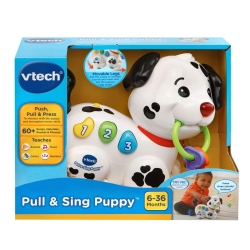 detail_2310_VTech_Pull_and_Sing_Puppy.jpg