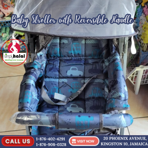 detail_3464_Blue_Stroller.png