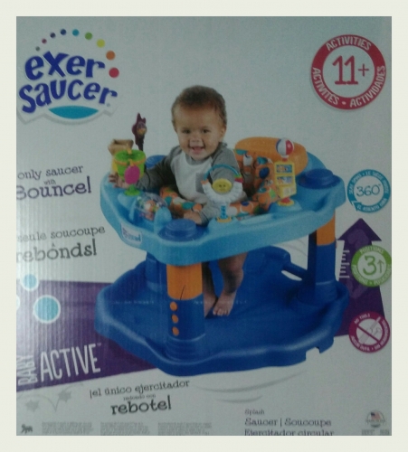 outdoor exersaucer