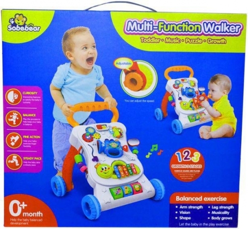 Multi Function Walker