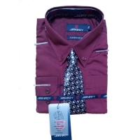 Boy's Dress Shirt with Tie