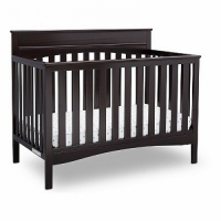 Delta Children Skylar 4-in-1 Convertible Crib (Bedding & Mattress sold separately)