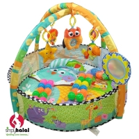Baby Gym with Accessories