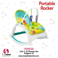 Newborn to Toddler Portable Rocker