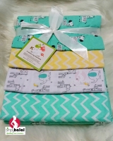 4-Pack Flannel Receiving Blanket Set