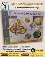 Activity Gym & Ball Pit