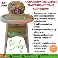 Convertible High Chair