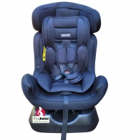Newborn to Toddler Convertible Car Seat